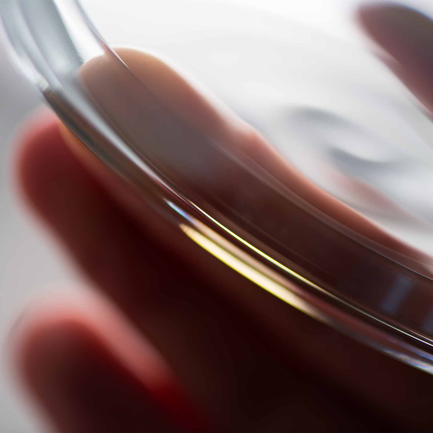 Beau Domaine by Brad Pitt & Famille Perrin