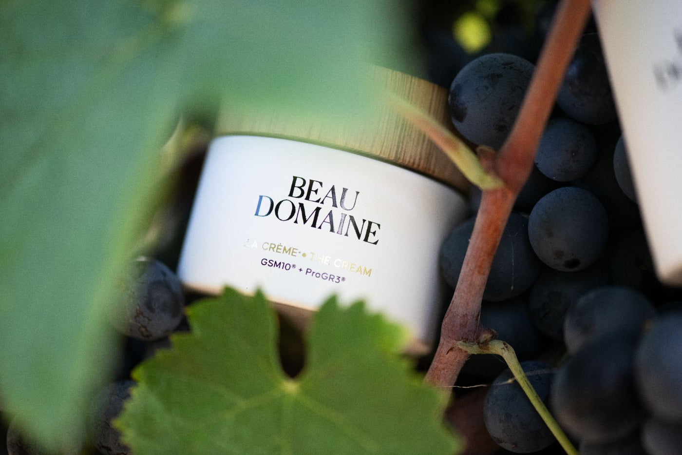 Beau Domaine by Brad Pitt & Famille Perrin