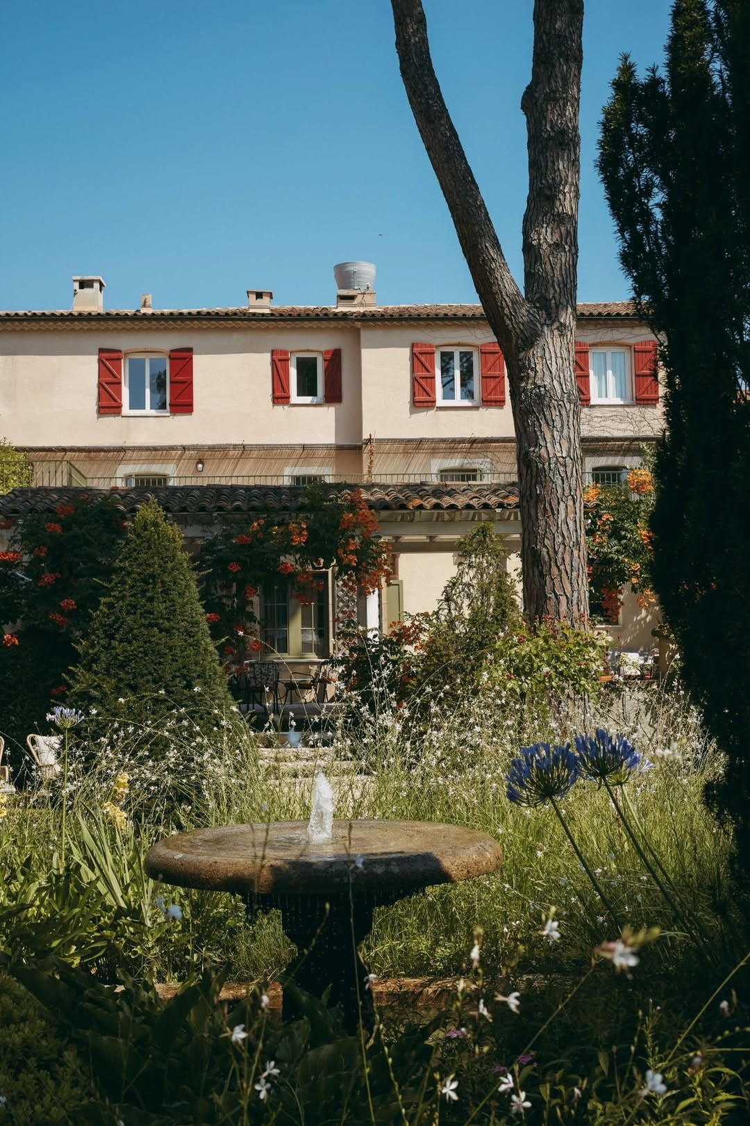 Beau Domaine by Brad Pitt & Famille Perrin